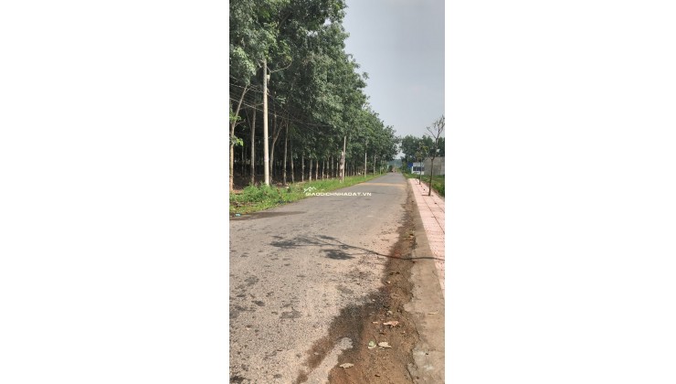 Bán mặt tiền nhựa liên ấp, gần ngã tư Gia Vĩnh, An Viễn, Đồng Nai